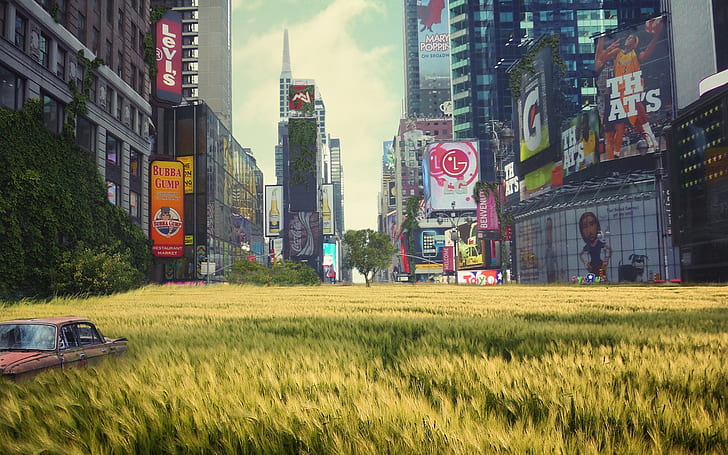 L'herbe luxuriante de Times Square, champ d'herbe, herbe, carré, Fond d'écran HD