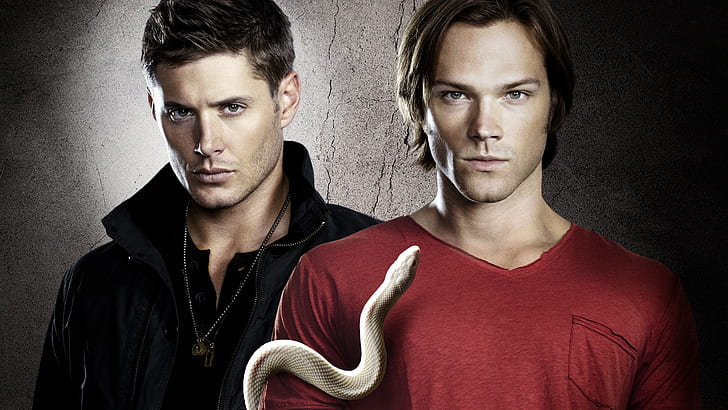 Supernatural TV series, supernaturals photo, Supernatural, HD wallpaper