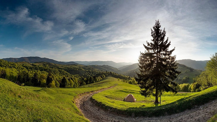 grüne Kiefer, Natur, Landschaft, Frühling, Wald, Berge, Pfad, Morgen, Bäume, Wolken, Gras, Ukraine, HD-Hintergrundbild