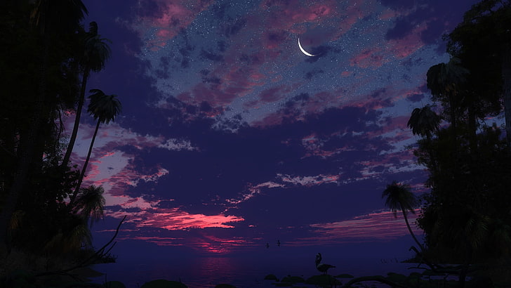 silhouette of trees and sky photography, artwork, digital art, beach, island, sunset, stars, HD wallpaper