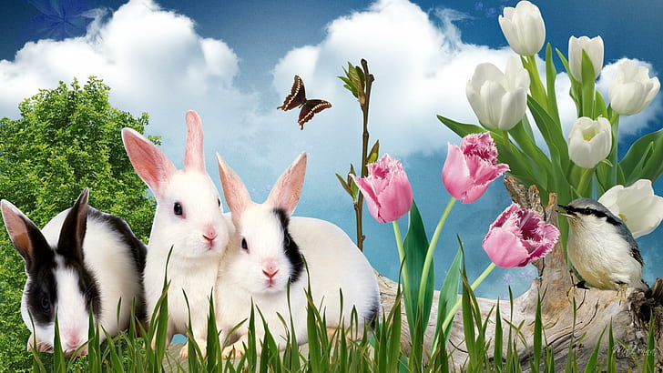Lapins de printemps, firefox persona, herbe, tulipes, spirng, lapins, pâques, lapins, nuages, 3d et abstrait, Fond d'écran HD
