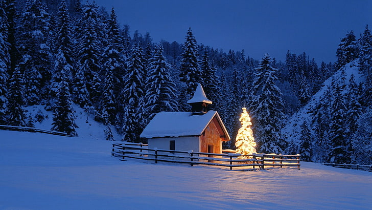 заснеженный дом возле сосен в ночное время, домик, сосны, новогодняя елка, огни, снег, HD обои