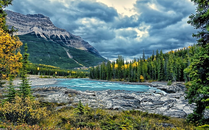 Athabasca River, Jasper National Park, Alberta, Canada, trees, Athabasca, River, Jasper, National, Park, Alberta, Canada, Trees, HD wallpaper
