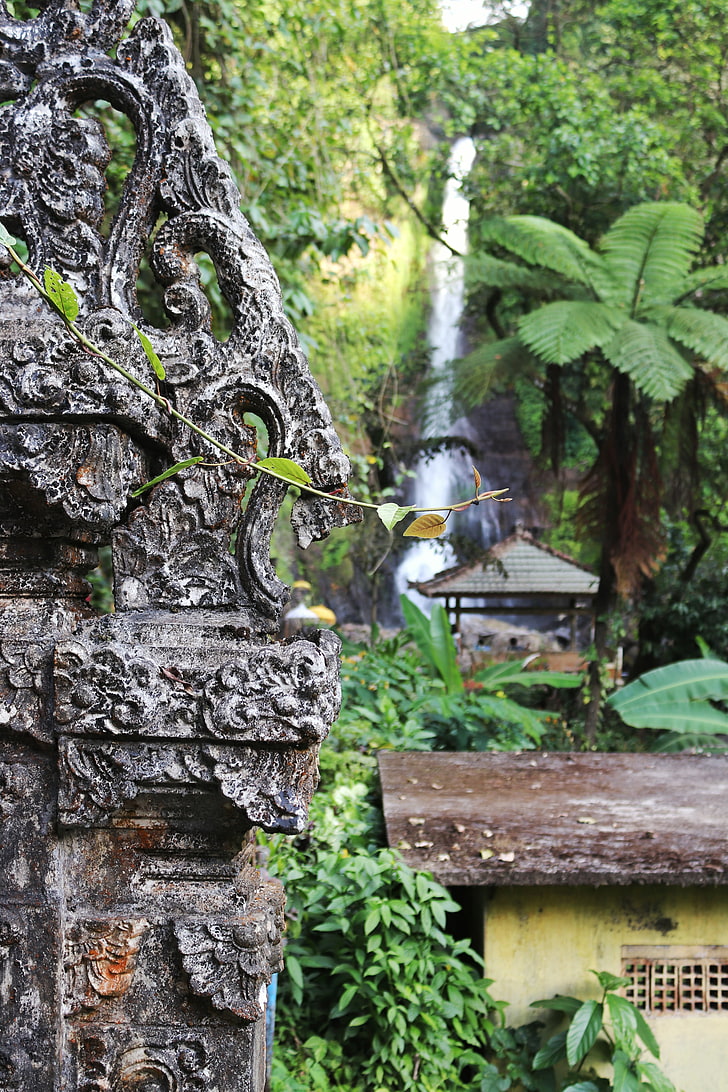 alam, lanskap, air terjun, dinding, Bali, Indonesia, hijau, batu, Wallpaper HD, wallpaper seluler