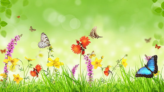 fjäril, blomma, äng, gräs, ryggradslösa djur, vildblomma, gräsmark, vår, drömland, HD tapet HD wallpaper