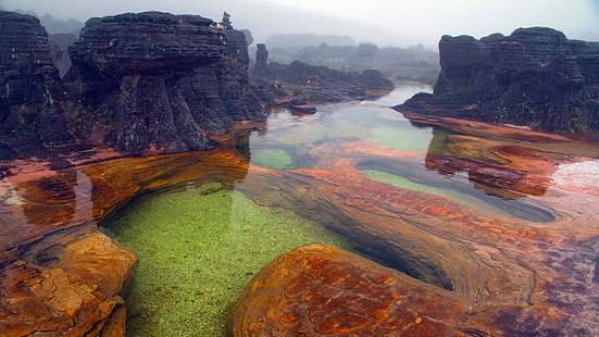 Gewässer auf Felsen, Natur, Landschaft, Mount Roraima, Venezuela, Berge, Wasser, Felsen, Reflexion, Nebel, HD-Hintergrundbild HD wallpaper