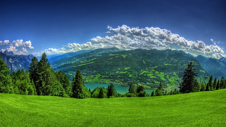 green mountain, nature, landscape, lake, hills, green, grass, mountains, trees, clouds, Walensee, Switzerland, sky, sea, water, HD wallpaper
