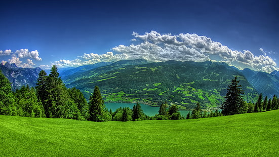 montagna verde, natura, paesaggio, lago, colline, verde, erba, montagne, alberi, nuvole, Walensee, Svizzera, cielo, mare, acqua, Sfondo HD HD wallpaper