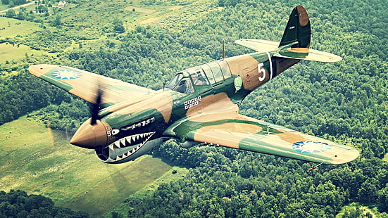 avião, hélice, Curtiss P-40 Warhawk, aeronaves, militar, veículo, avião militar, HD papel de parede HD wallpaper