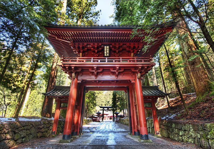 cancello torii marrone, foresta, Giappone, Nikko, Sfondo HD