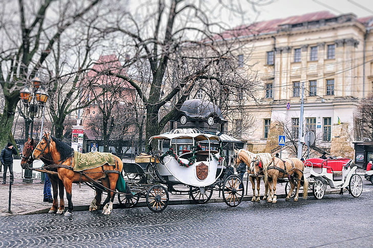 action, architecture, buildings, business, carriage, cart, cavalry, city, classic, daylight, group, horses, man, outdoors, park, pavement, people, person, road, street, tourism, tourist, town, traffic, transportation sy, HD wallpaper