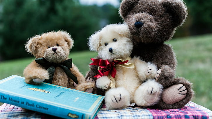 teddy bears, HD wallpaper