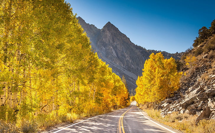 Mountain Road, yellow tree, Seasons, Autumn, Yellow, Road, Mountains, Rocks, Fall, foliage, bluesky, HD wallpaper