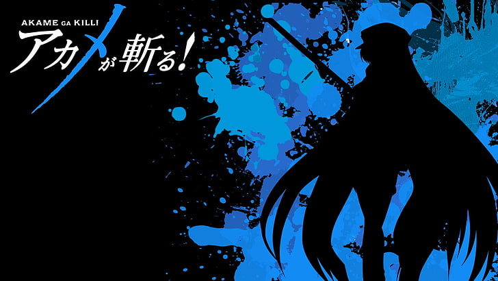 Akame Kill digitales Hintergrundbild, Akame ga Kill !, Esdeath, HD-Hintergrundbild