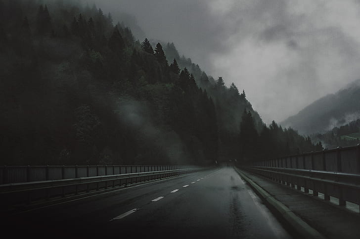 Carretera, Puente, Bosque, Tristeza, La oscuridad, Lluvia, Oscuridad, La atmósfera, Atmósfera, Neblina, Depresión, Fondo de pantalla HD