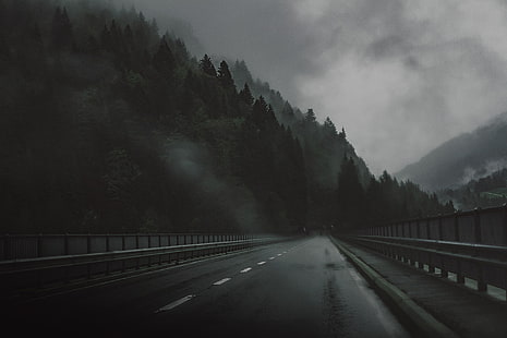 Carretera, Puente, Bosque, Tristeza, La oscuridad, Lluvia, Oscuridad, La atmósfera, Atmósfera, Neblina, Depresión, Fondo de pantalla HD HD wallpaper
