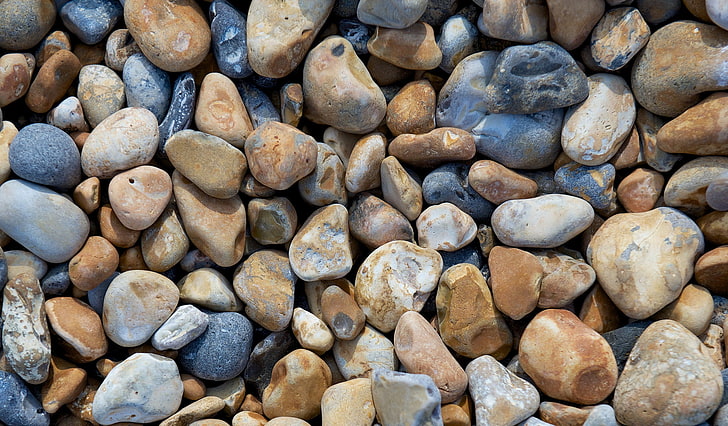 rocas marrones y grises, macro, piedras, playa, guijarros, Fondo de pantalla HD
