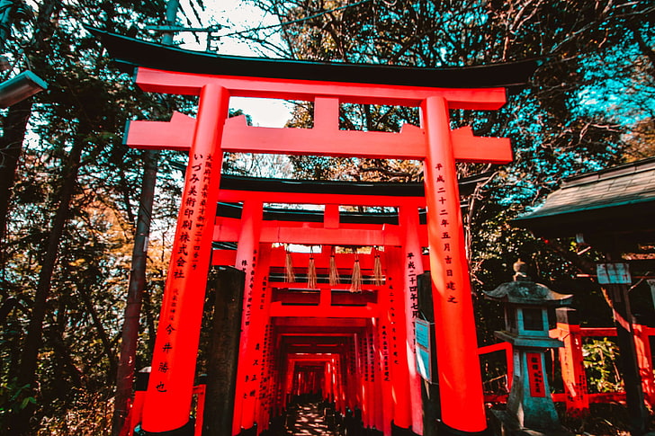 japan, japanese culture, red, temple, HD wallpaper