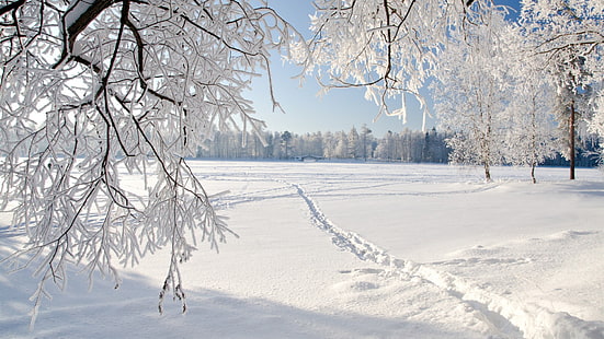 ภาพหิมะสำหรับพื้นหลังเดสก์ท็อป, วอลล์เปเปอร์ HD HD wallpaper