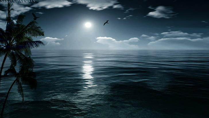 luna, naturaleza, noche, oceano, palmera, Wallpaper HD