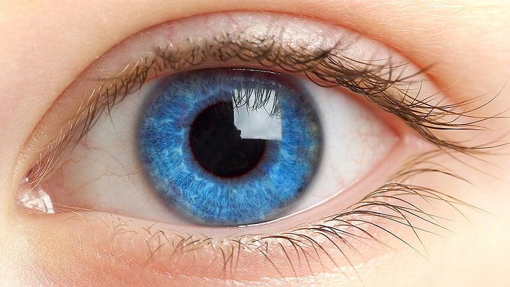 blue eye, eyes, eyelashes, blue, pupil, HD wallpaper