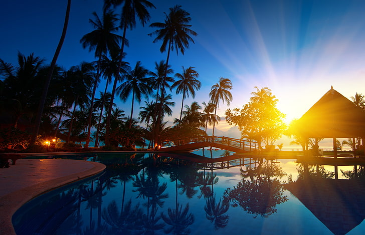 grüne Kokospalmen, Bäume, Brücke, Natur, Palmen, Paradies, Sonnenaufgang, Thailand, Palmen, Meerwasser, Meerwasser, HD-Hintergrundbild