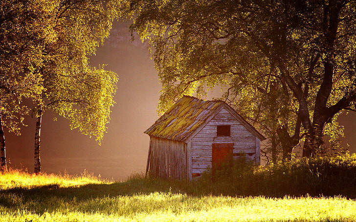 cabin, grass, shed, trees, HD wallpaper
