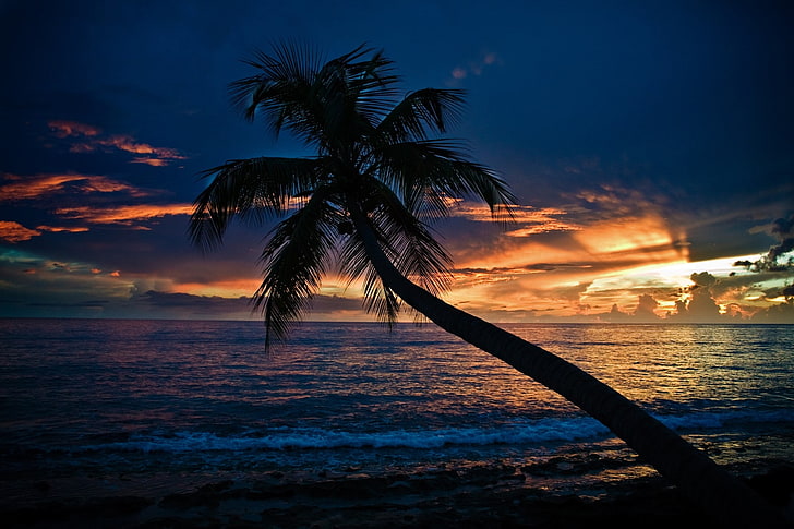 tramonti oceano nuvole paesaggi natura orizzonte onde riva palme paesaggi marini 1920x1280 wallpap Nature Oceans HD Arte, tramonti, oceano, Sfondo HD