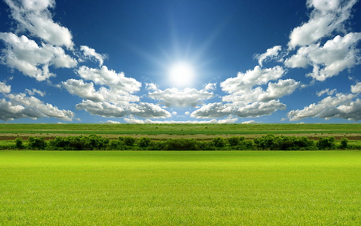 Helles Tageslicht HD, grünes Feld, Natur, Landschaft, Licht, Tag, hell, HD-Hintergrundbild