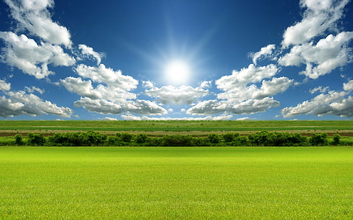 Ярка дневна светлина HD, зелено поле, природа, пейзаж, светлина, ден, ярка, HD тапет HD wallpaper