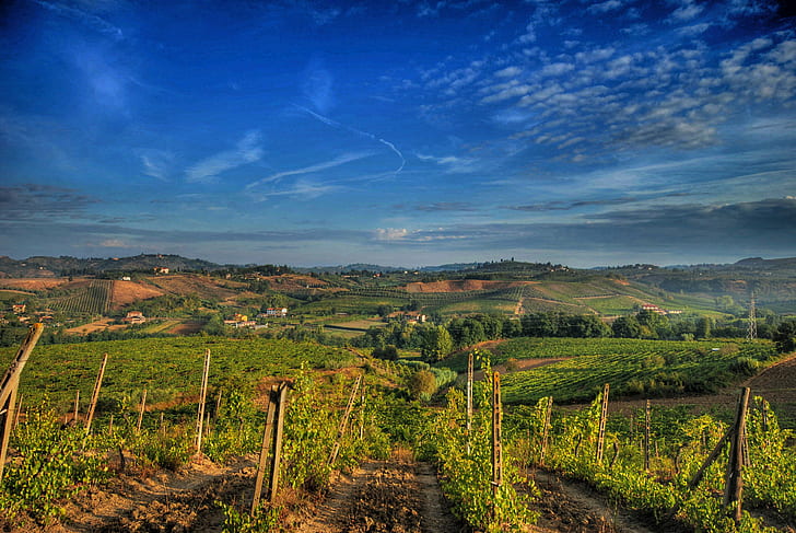 landscape photography of green grass field, nel, chianti, landscape photography, green grass, grass field, certaldo, hdr, nikon, sigma, vigne, grape, tuscany, italy, wine, vino, terra, panorama, grapes, toscana, campagna, country, ciele, cloud, Storms, agriculture, vineyard, vine, nature, rural Scene, hill, farm, winery, field, landscape, mountain, landscaped, land, outdoors, plant, valley, scenics, europe, green Color, HD wallpaper