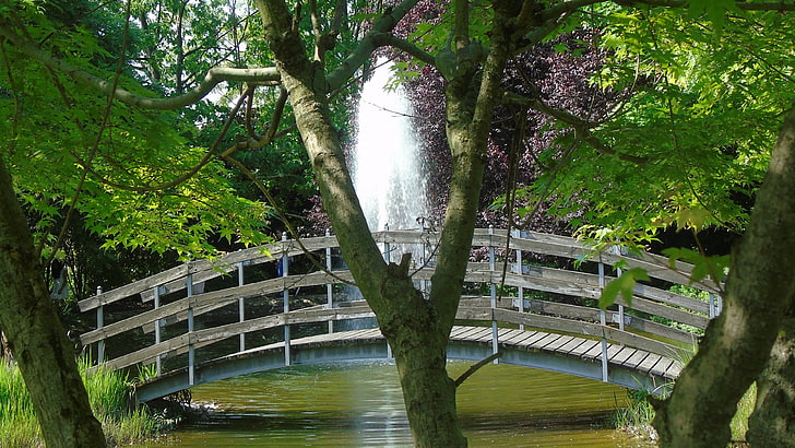 footbridge, water, park, green, tree, pond, fountain, green leaves, stream, HD wallpaper