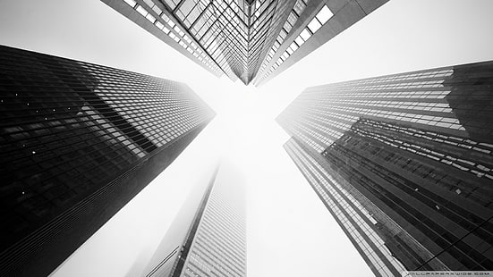 grayscale buildings, Toronto, skyscraper, sky, Four Kings, photography, depth of field, building, worm's eye view, cityscape, monochrome, HD wallpaper HD wallpaper
