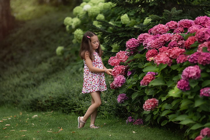 verano, flores, naturaleza, niña, los arbustos, niño, hortensia, Anastasia Barmina, Fondo de pantalla HD
