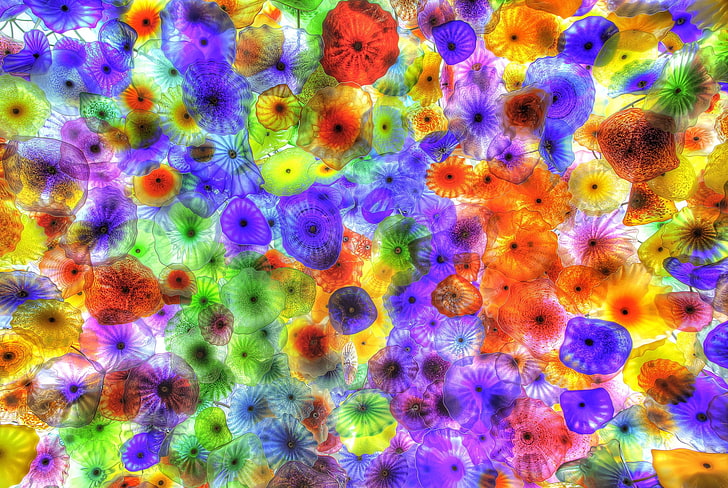 lila och röda bakterier illustration, maneter, färgglada, ljusa, bakgrund, HD tapet