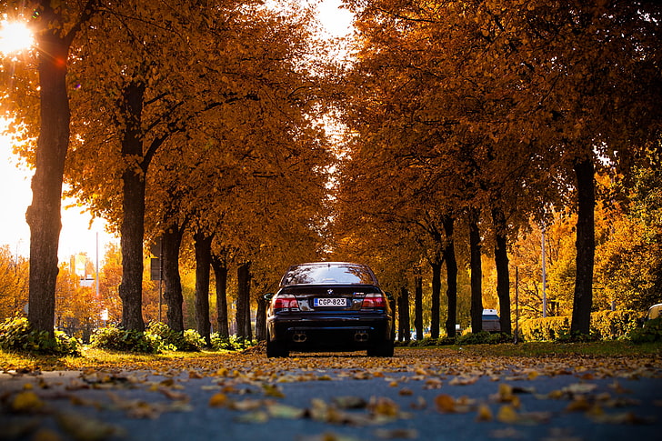 blue vehicle, leaves, lights, BMW, Black, E39, autumn, HD wallpaper