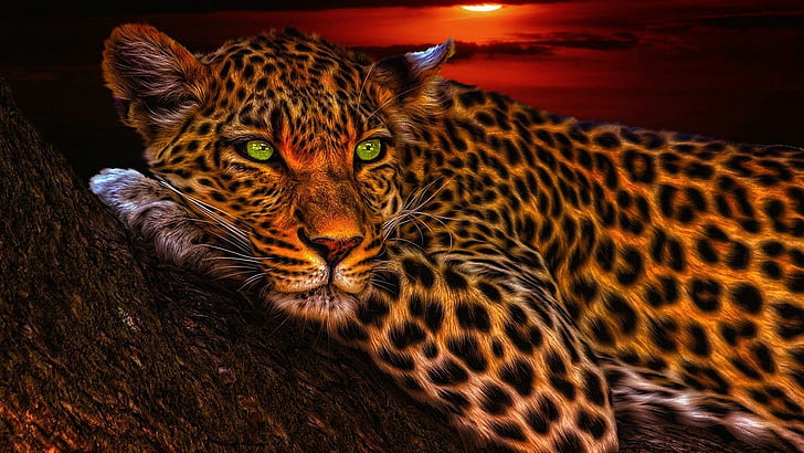 леопард, цифровое искусство, большая кошка, закат, ночь, HD обои