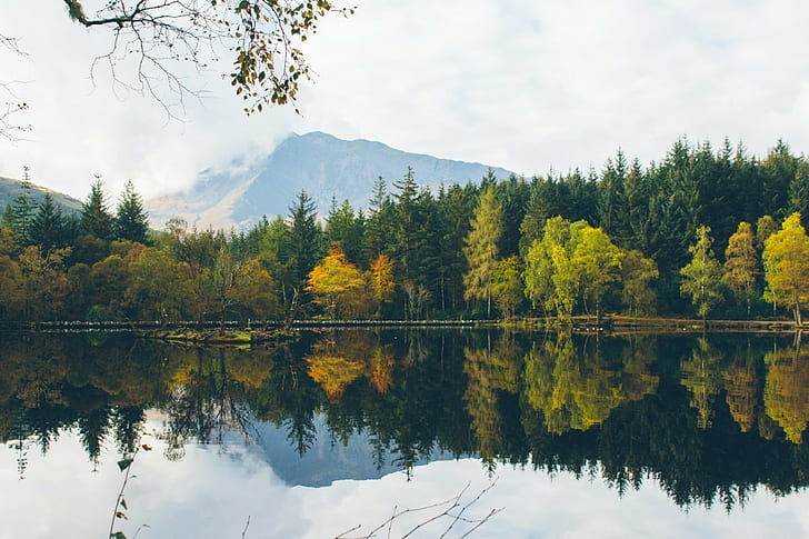 Schottland, Natur, Wald, Wasser, See, HD-Hintergrundbild
