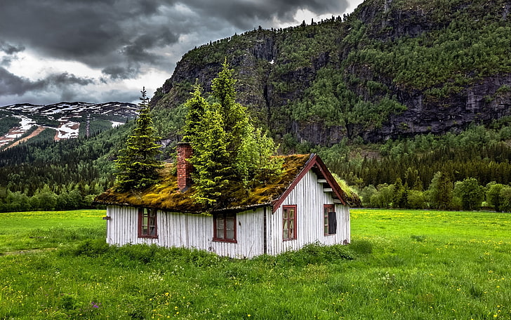 серый деревянный дом, пейзаж, природа, лето, заброшенный, Норвегия, трава, облака, горы, дом, деревья, зеленый, HD обои