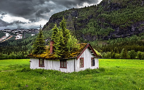 серый деревянный дом, пейзаж, природа, лето, заброшенный, Норвегия, трава, облака, горы, дом, деревья, зеленый, HD обои HD wallpaper