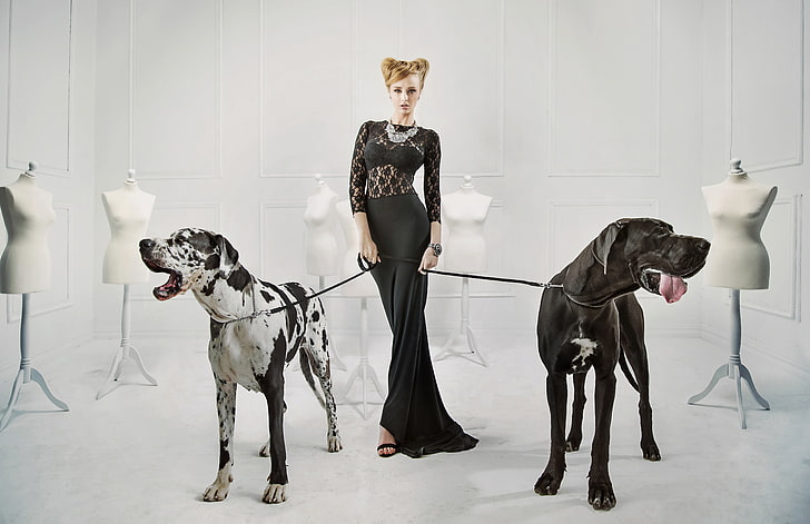 dogs, girl, decoration, pose, necklace, makeup, figure, dress, hairstyle, blonde, grace, beauty, in black, mannequins, great Dane, leashes, HD wallpaper