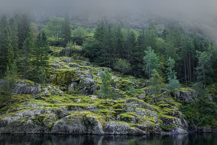 غابة ، صيف ، ماء ، أشجار ، طبيعة ، ضباب ، حجارة ، شجرة ، صوفي ، حجر ، النرويج ، لغز ، laneynest ، hd ، 4k، خلفية HD