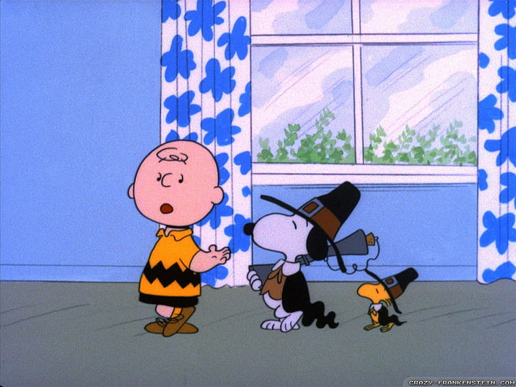 Film, Charlie Brown Thanksgiving, Charlie Brown, Peanuts (Dessin Animé), Snoopy, Fond d'écran HD