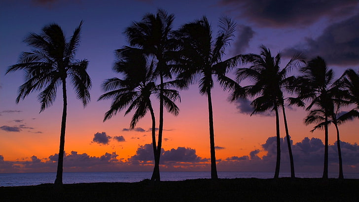 Hawaii Bilder Desktop, HD-Hintergrundbild