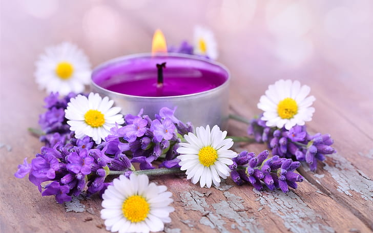 White daisy flowers, lavender, candles, White, Daisy, Flowers, Lavender, Candles, HD wallpaper