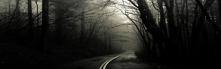 forest road fog 3360x1050  Nature Forests HD Art , forest, road, HD wallpaper