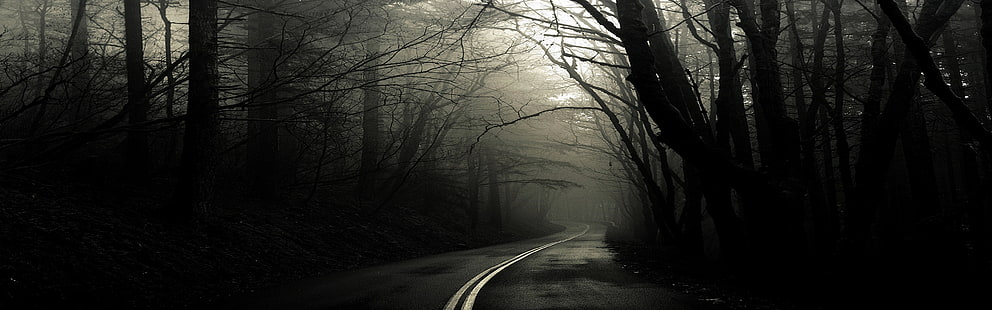 forest road fog 3360x1050  Nature Forests HD Art , forest, road, HD wallpaper HD wallpaper