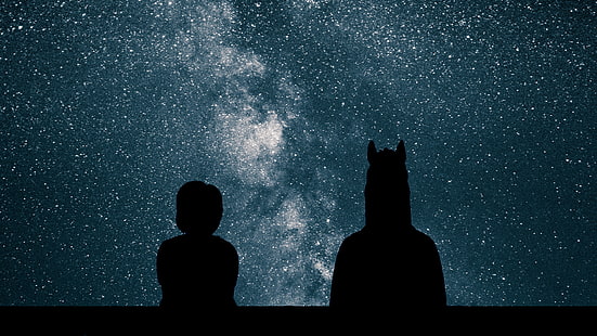 Боджак Конник, нощно небе, звездна нощ, телевизор, HD тапет HD wallpaper