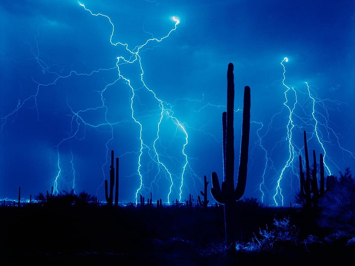 silhouette of cacti and lightning wallpaper, lightning, thunder-storm, elements, sky, cactuses, outlines, desert, HD wallpaper