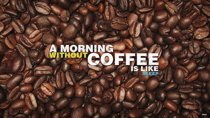 pagi tanpa kopi seperti teks tidur, teks, biji kopi, kopi, kutipan, humor, sederhana, Wallpaper HD